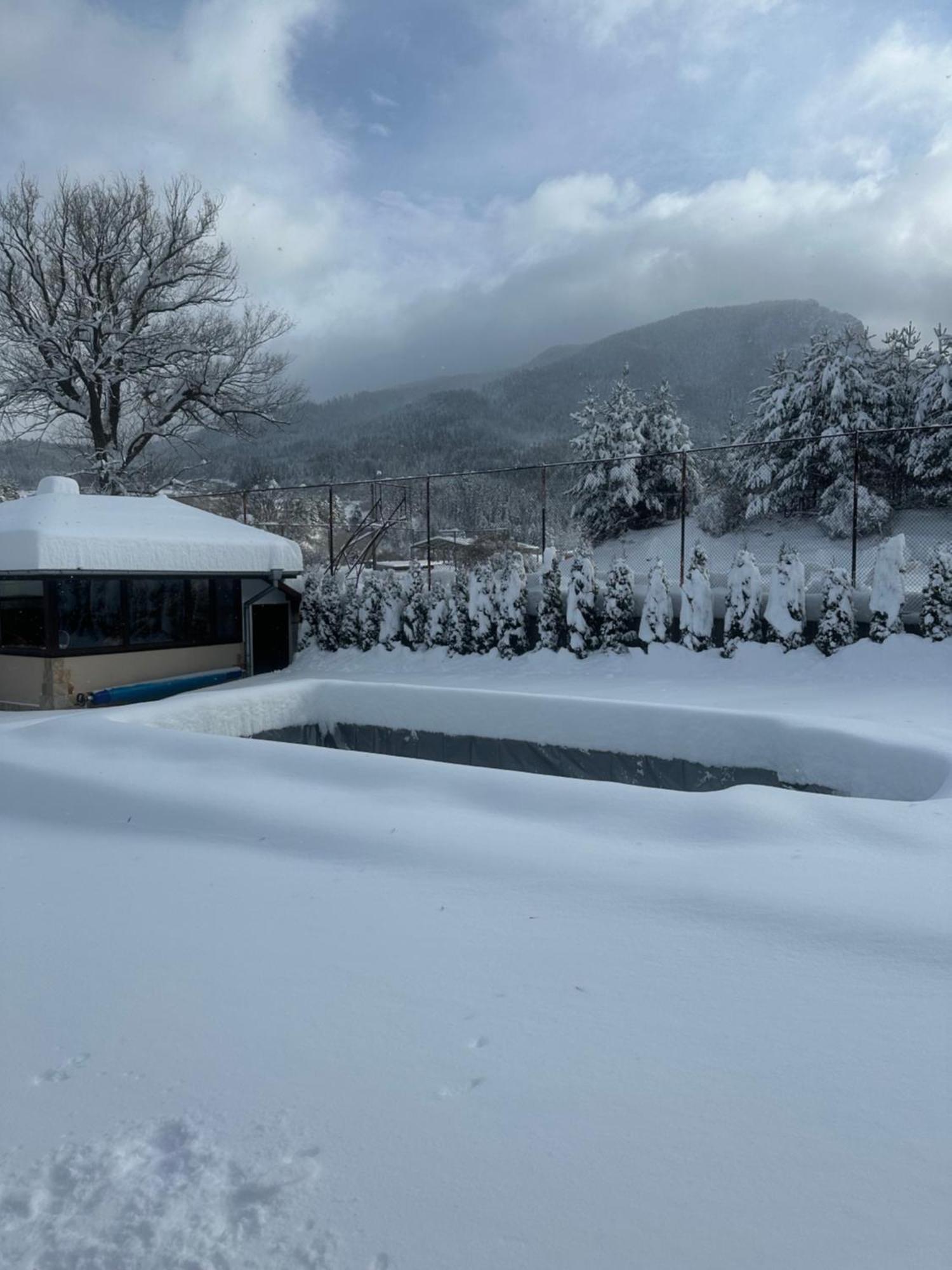 Villa Paradise Beli Iskar Εξωτερικό φωτογραφία