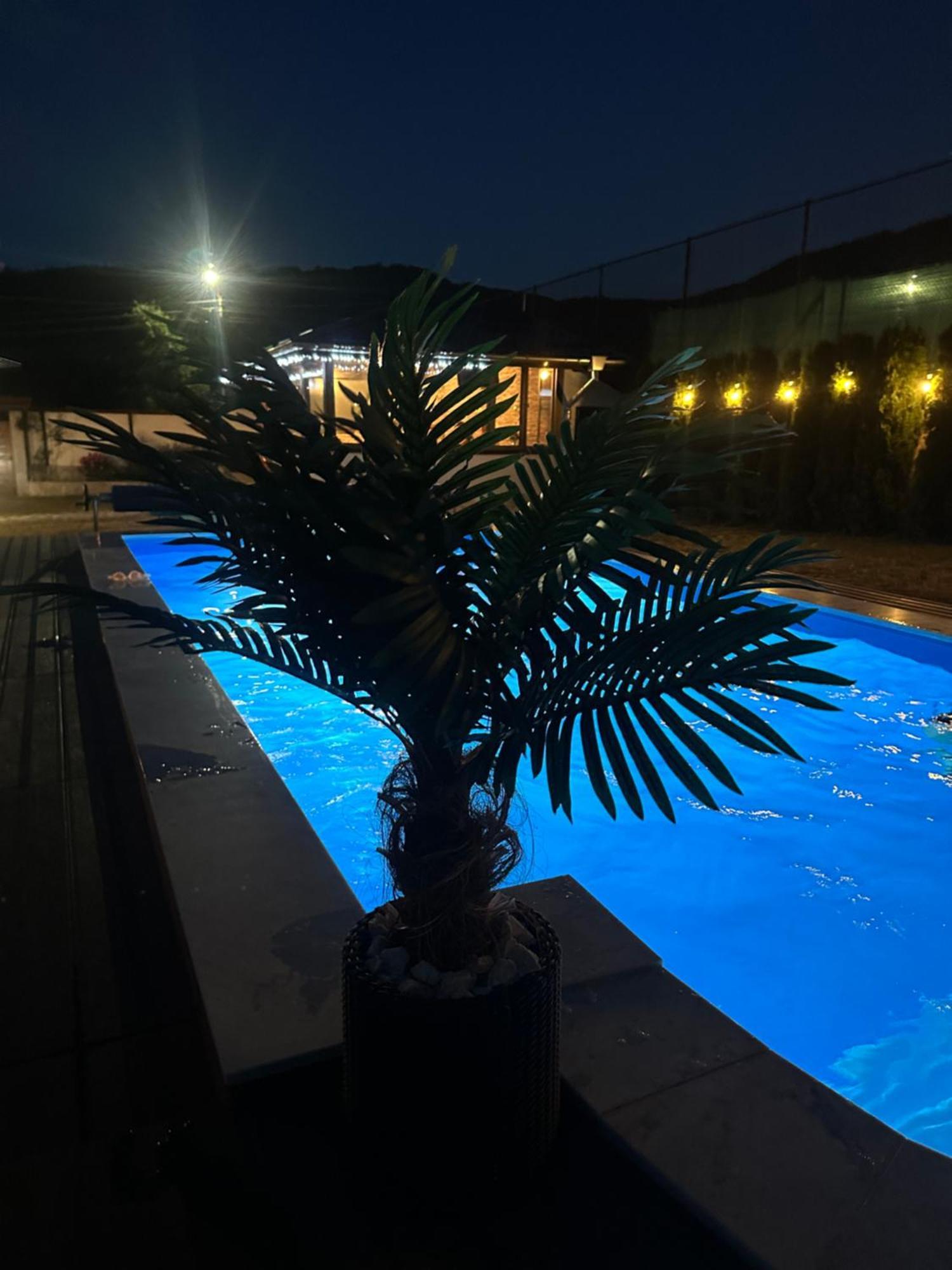Villa Paradise Beli Iskar Εξωτερικό φωτογραφία